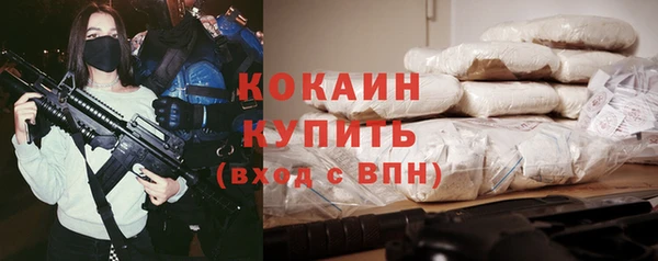 стафф Богородск