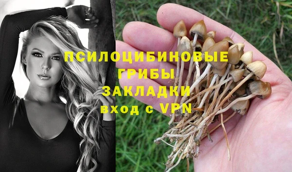 гашишное масло Богданович