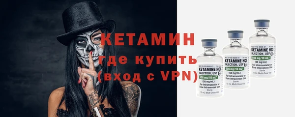 шишки Богородицк