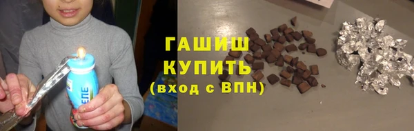 шишки Богородицк