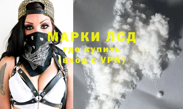 шишки Богородицк