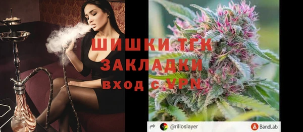 шишки Богородицк