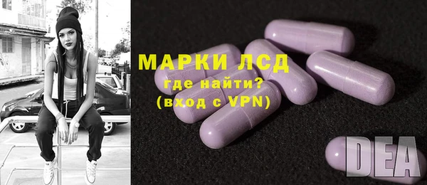 шишки Богородицк