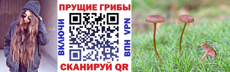 Псилоцибиновые грибы ЛСД  Карабулак 